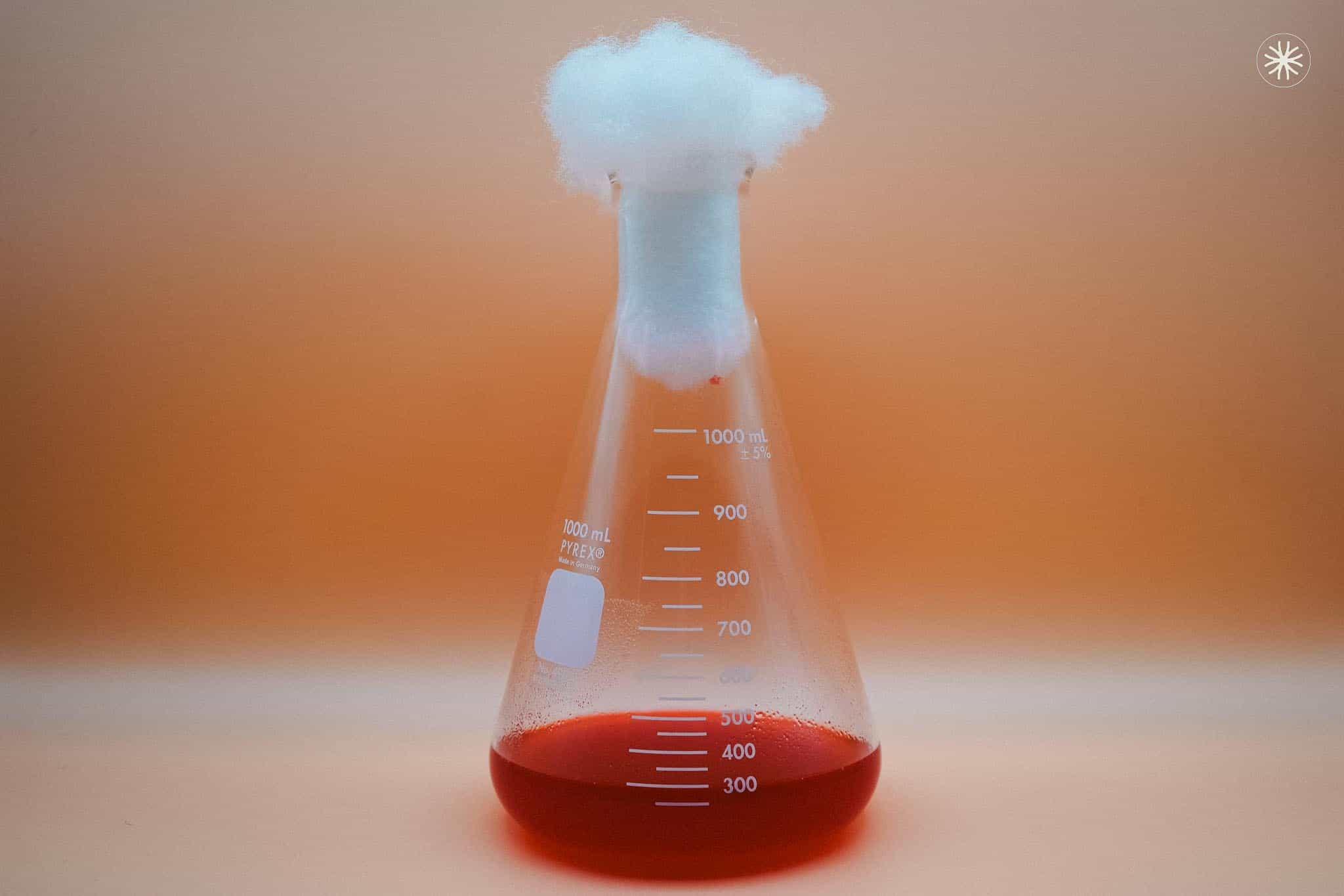 Flask stuffed with poly-fil