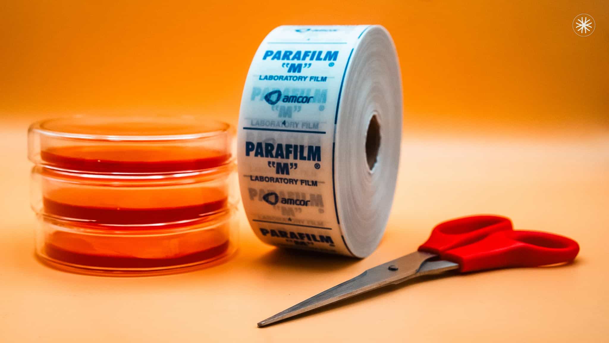 Parafilm for sealing dishes