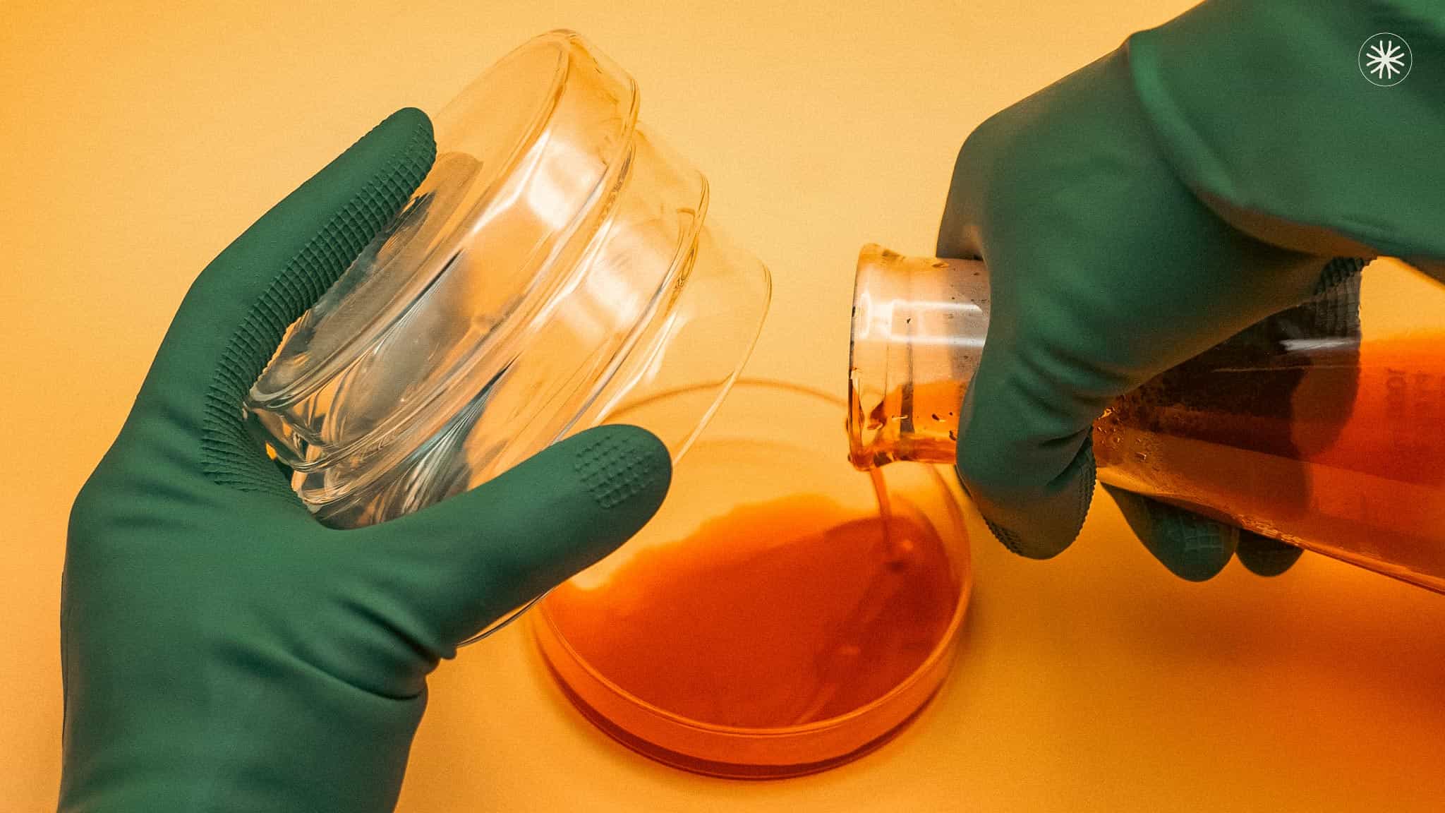 Pouring agar