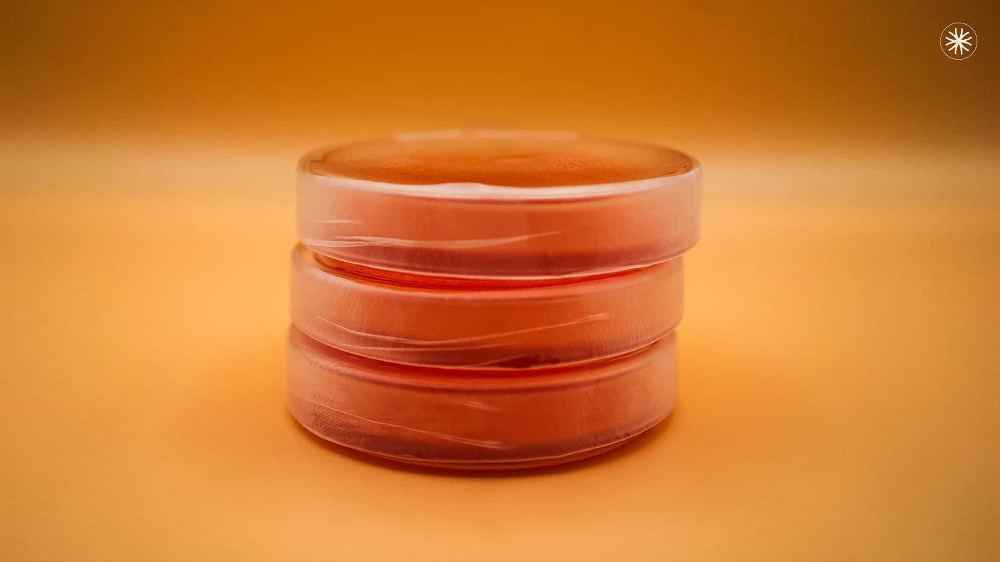 Sealed petri dishes