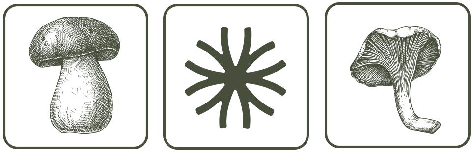 mycoro logo